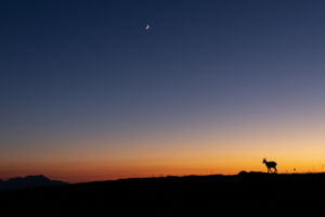 R7 & EF 16-35/4 L IS