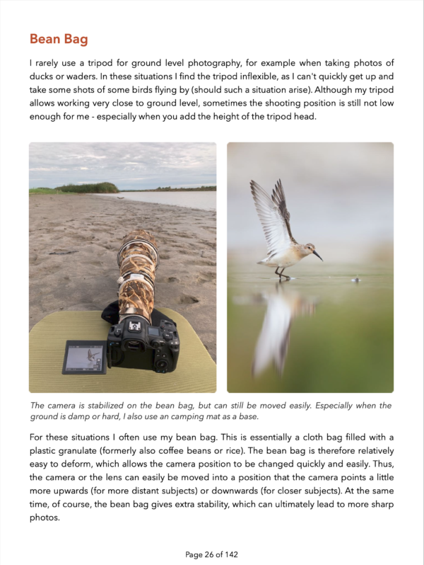 EBook Bird Photography Naturfotografie Fabian Fopp
